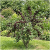 Gemini_Generated_Image_p73vkup73vkup73v.png
