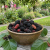 Gemini_Generated_Image_9migph9migph9mig.png