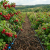 Gemini_Generated_Image_d3oeyqd3oeyqd3oe.png