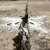 Gemini_Generated_Image_ty16o0ty16o0ty16.png