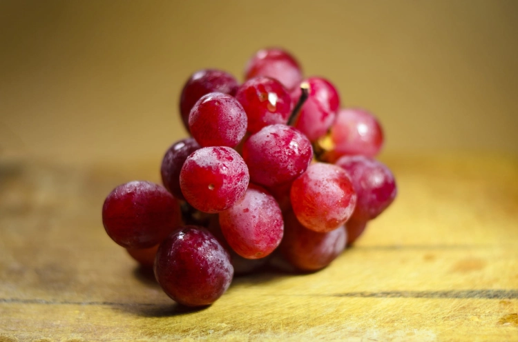 healthy-1283162_1920.jpg
