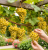 Gemini_Generated_Image_wy59l5wy59l5wy59.png