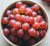 Gemini_Generated_Image_2h52a32h52a32h52.png