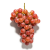 Gemini_Generated_Image_bozgczbozgczbozg.png