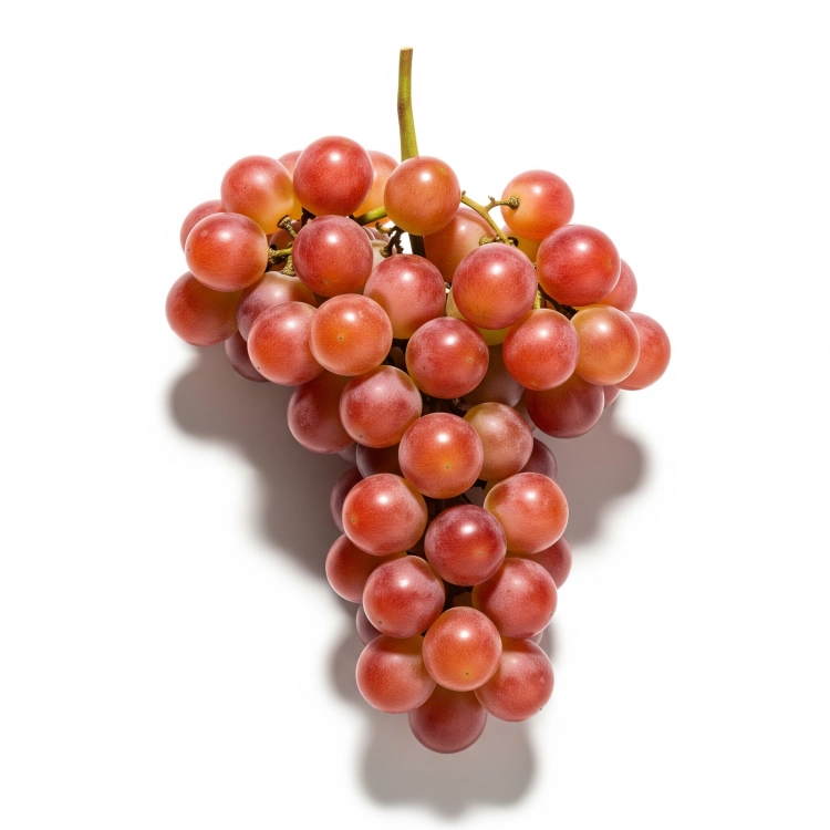 Gemini_Generated_Image_bozgczbozgczbozg.png