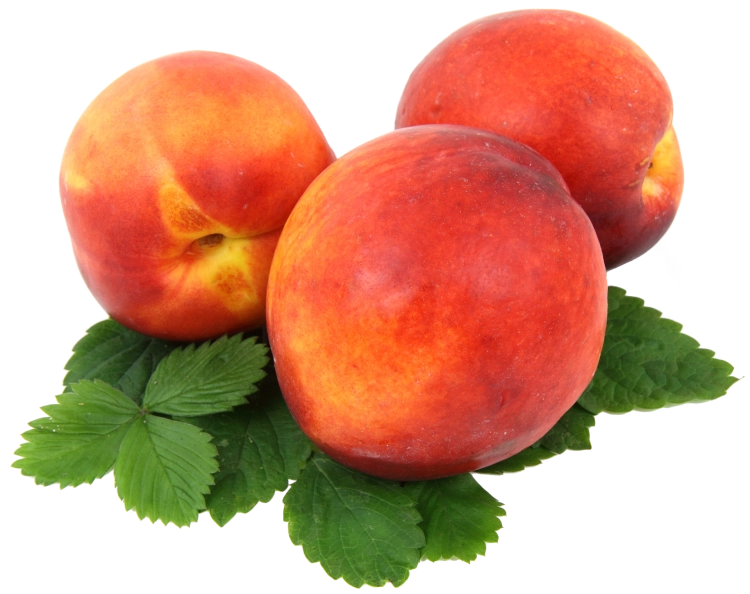 nectarines-2281808_1920.png