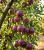 Gemini_Generated_Image_j48js9j48js9j48j.png