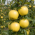Gemini_Generated_Image_6it3996it3996it3.png