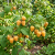 Gemini_Generated_Image_g34ldug34ldug34l.png