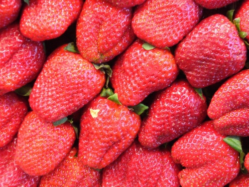 strawberries-4789_1920.jpg