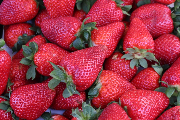 strawberries-3390127_1920.jpg