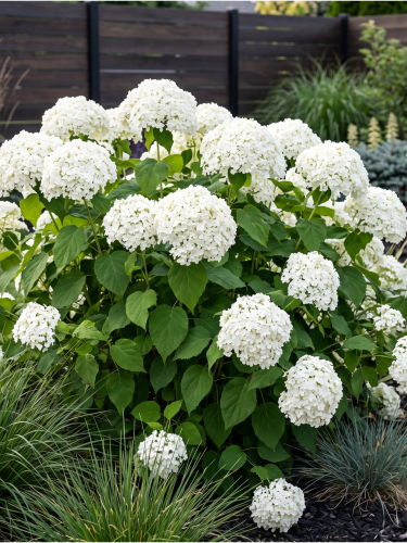 Tło folder inne.png