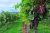 wine-2799719_1920.jpg