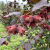 Gemini_Generated_Image_6xoemc6xoemc6xoe.png