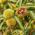 Gemini_Generated_Image_pqicjcpqicjcpqic.png