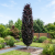 Gemini_Generated_Image_c4cqvcc4cqvcc4cq (1).png