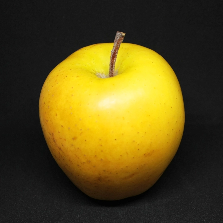 apple-gb93719245_1920.jpg