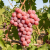 Gemini_Generated_Image_3a39ay3a39ay3a39.png