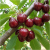 Gemini_Generated_Image_6frc0k6frc0k6frc.png