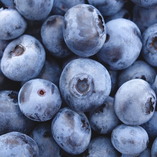 blueberries-3016758_1920 — kopia.jpg