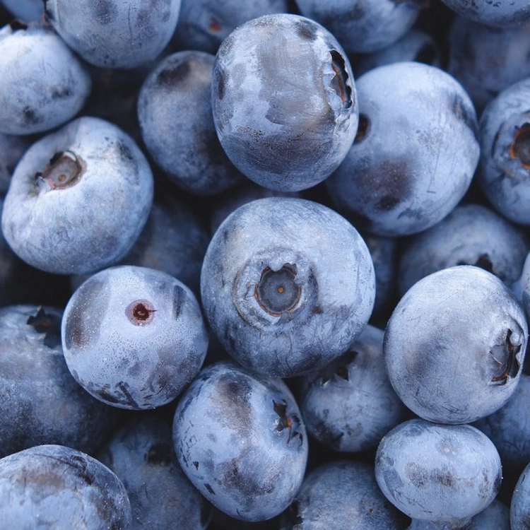blueberries-3016758_1920 — kopia.jpg