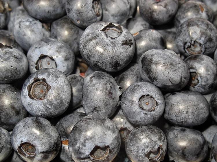 blueberry-2529799_1920.jpg