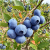 Gemini_Generated_Image_yqe1kiyqe1kiyqe1.png