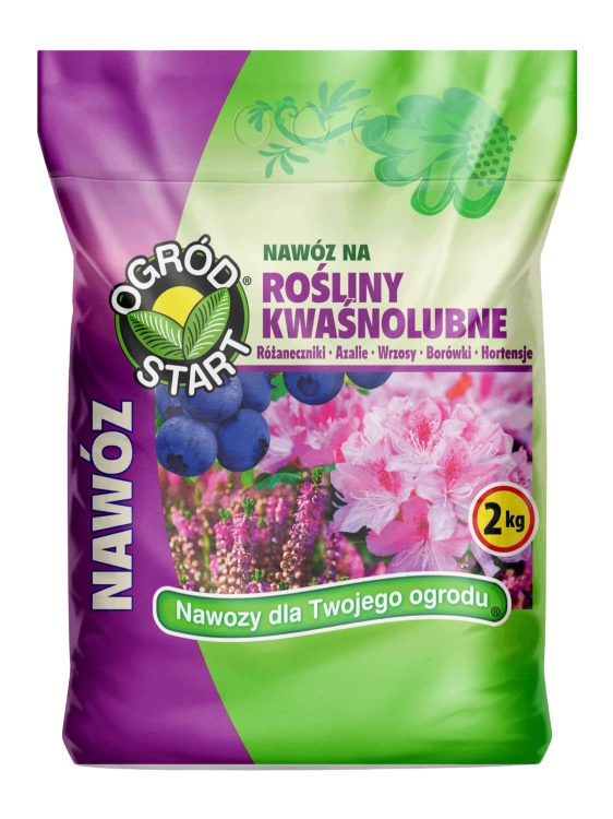 Tło folder inne (1667 x 2222 px) (1667 x 2222 px).png