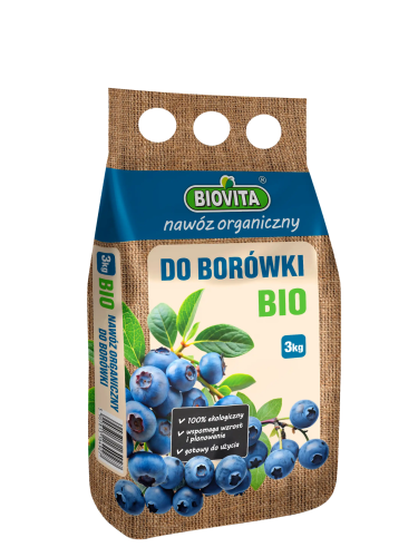 Tło folder inne (1667 x 2222 px) (1667 x 2222 px).png