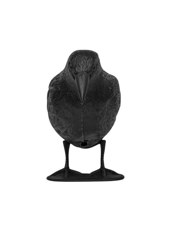 Tło folder inne (1667 x 2222 px) (1667 x 2222 px).png