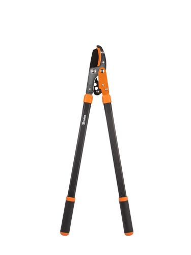 Tło folder inne (1667 x 2222 px) (1667 x 2222 px) (1).png
